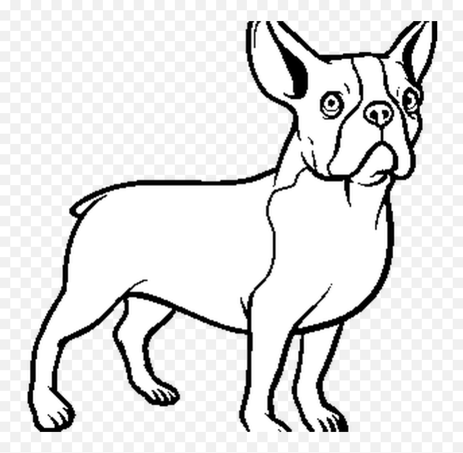 French Bulldog Dog Coloring Page - Dibujos De Perros Bulldog Ancient Dog Breeds Emoji,Terrier Dog Emoji Png