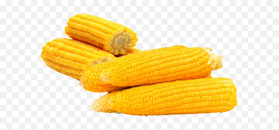 Free Photo Vegetable Maize Corn Food Produce Cereal Grain Emoji,Emotion Vs Beastmode Kernel