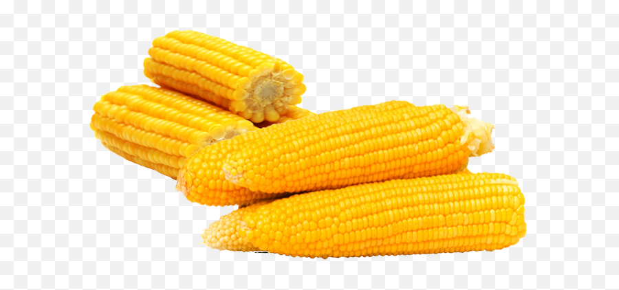 Free Photo Vegetable Maize Corn Food Produce Cereal Grain Emoji,Emotion Vs Beastmode Kernel Free Photo Vegetable Maize Corn Food Produce Cereal Grain Emoji,Emotion Vs Beastmode Kernel