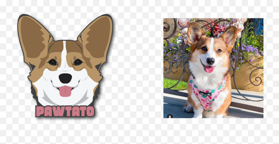 Custom Logos U2013 Team Corgi Emoji,Wales Emoji