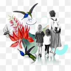 The Explorers Journey - Butterfly Emoji,Sensory Emotions