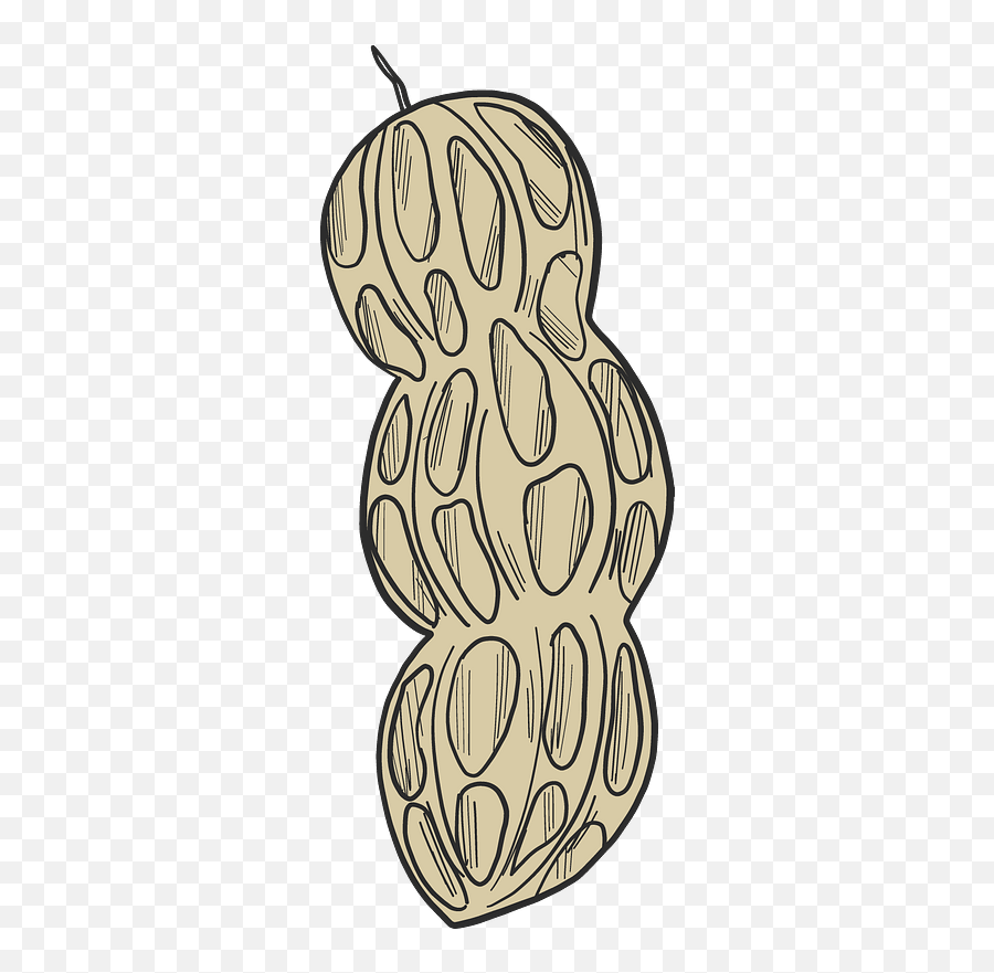 Peanut Clipart - Dot Emoji,Peanut Emoji Hoqw To Draw