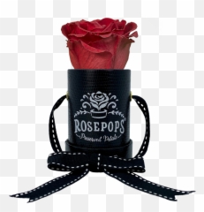 The One Up - Garden Roses Emoji,Rose Stars Lipdls Emoji