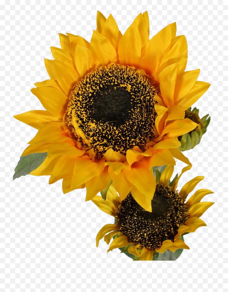 Artificial Sunflower Stem Blooming Artificial - Common Sunflower Emoji,Facebook Sunflower Emoticons
