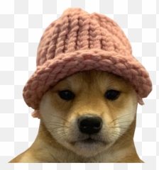 Dogwifhat - Discord Emoji Dogwifhat Original,Dog Emoji Keyboard