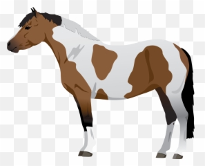 Learn About Horse Pony Coat Colors - Pinto Horse Png Emoji,Easy Emoji Horse