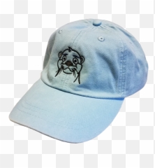 Bayberry Hill Water - For Baseball Emoji,Pug Emoticons For Facebook