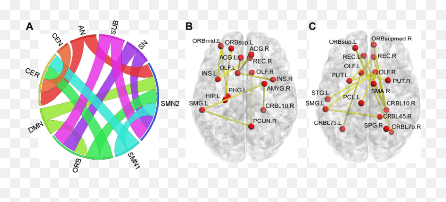 Increased Positive Functional Connectivities In Patients Emoji,Paralimbic Syndroms No Emotions