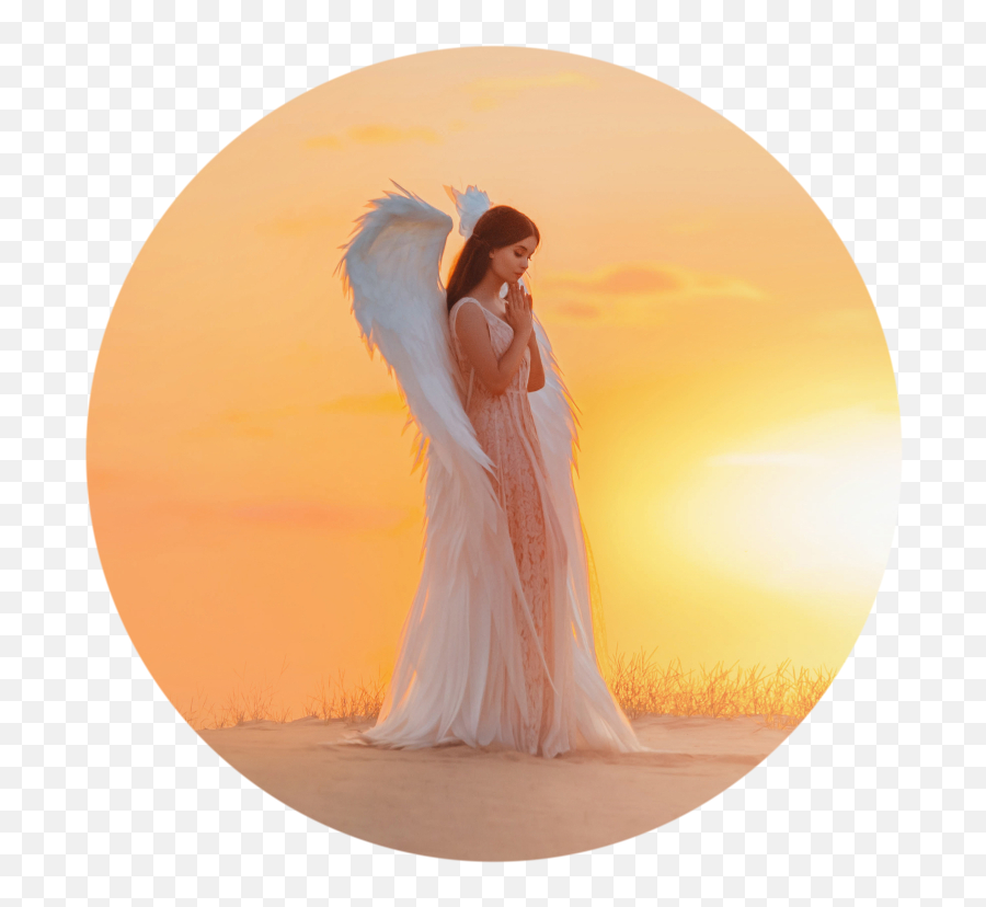 And A Tarot New Year Four Lesson Live Online Course - Fairy Emoji,Emotions Physical Guardian Angel