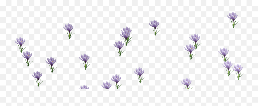 Flower Blooming Gif Transparent Animated - Cloudygif Lavender Emoji,Wilting Rose Emoji