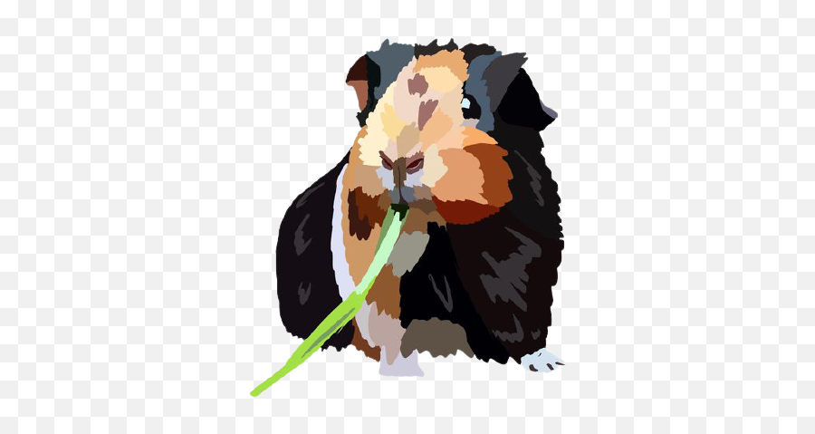 Guinea Pigs For Adoption - Collective Animal Rescue Edinburgh Emoji,Boar Emoji