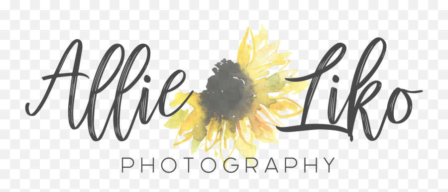 Allie Liko Photography Emoji,Sunflowers Emotion
