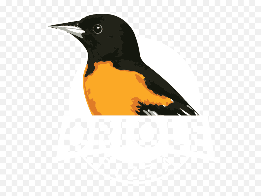 Download Oriole Pizza - Old World Flycatchers Emoji,Oriole Emoji