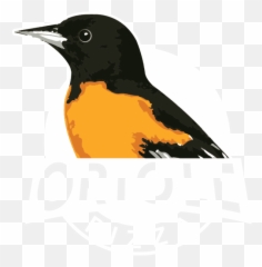 Download Oriole Pizza - Old World Flycatchers Emoji,Oriole Emoji