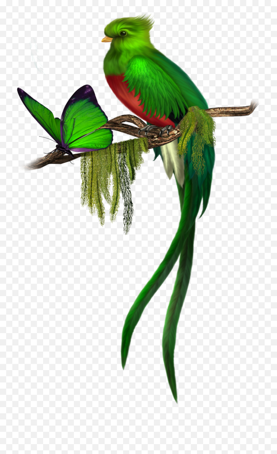 Mq Bird Birds Animal Parrot Sticker By Marras - Butterfly And Birds Png Emoji,Parrot Emoji