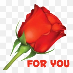 Wastickerapps Flores Y Rosas Stickers - Para Stickers Una Rosa Emoji,Emoticon De Muchas Rosas Para Whatsapp