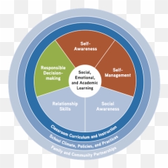 Casel Secondary Guide Beta - 5 Keys To Success For Social Emotional Learning Emoji,Preschool Emotion Activities
