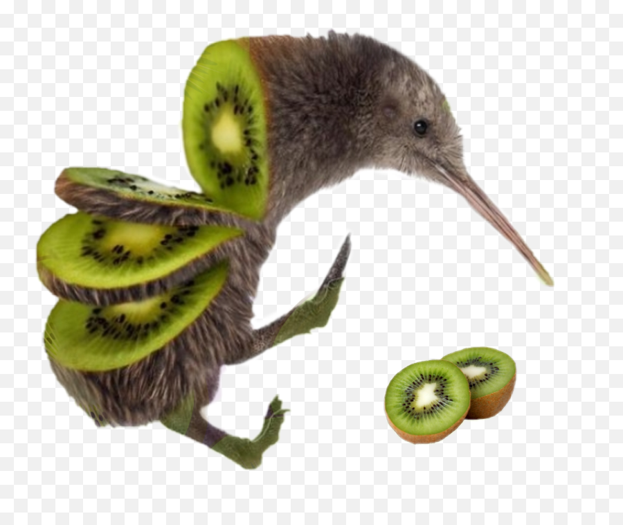 Kiwi Bird Kiwibird Birdkiwi Sticker - You Can T Name A Single Thing Emoji,Kiwi Bird Emoji