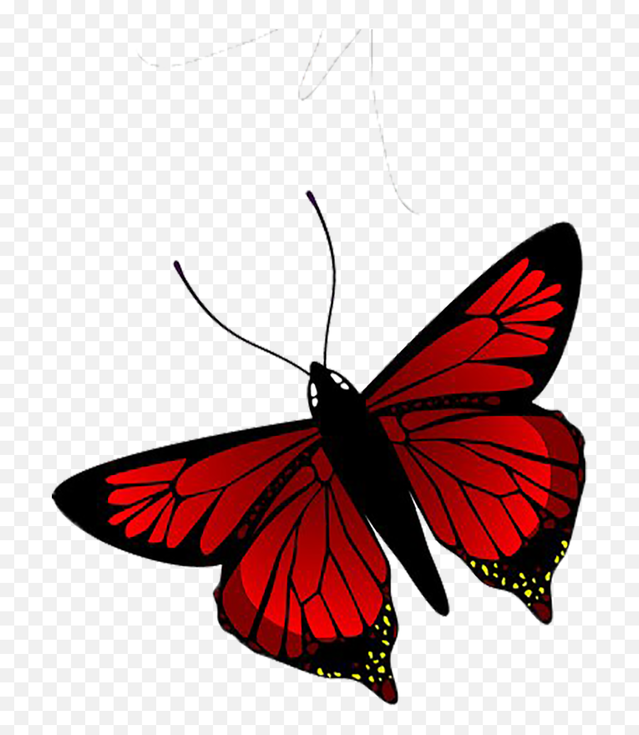 Free Transparent Butterfly Png Download - Red Butterfly Png Emoji,Butterfly Emoji Png