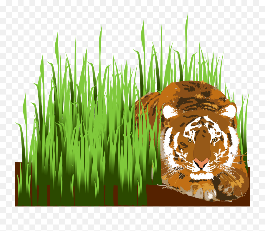 Tiger Sleeping In The Grass Clipart - Tiger In The Grass Clipart Emoji,A House And A Tiger Emoji Man