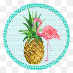 900 Bottle Caps Ideas Bottle Cap Images Bottle Cap - Pineapple Flamingo Watercolor Emoji,Moana's You're Welcome In Emojis