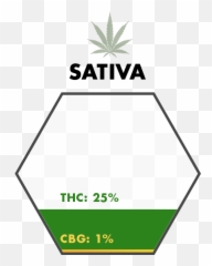 Cbg - Hemptown Usa Hemp Emoji,Weed Emoticon Reggae Transparent