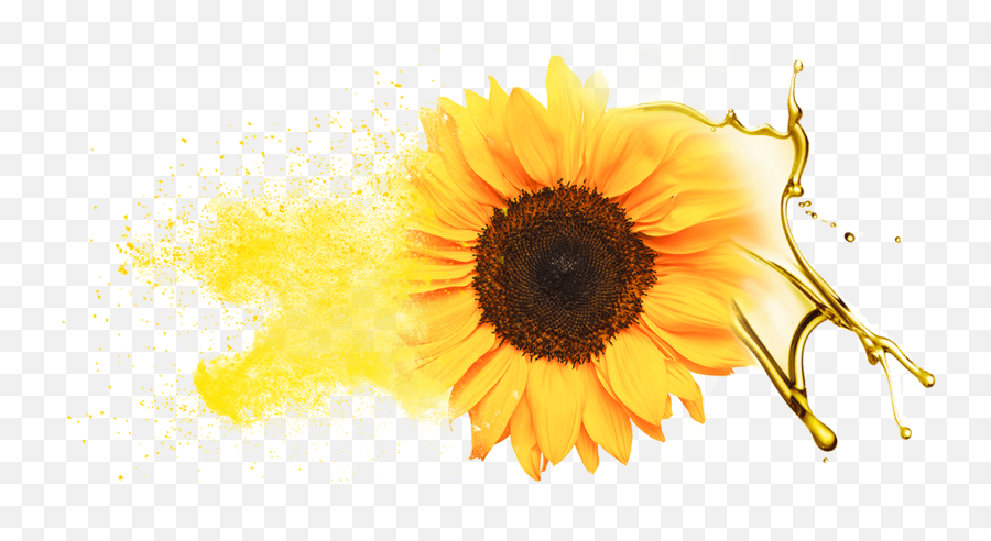 Sunflower Oils U0026 Oil Powders Bulk Supply U0026 Manufacture Know - Fresh Emoji,Facebook Sunflower Emoticons