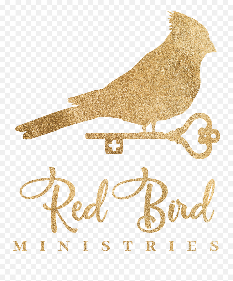 Downloads U2014 Red Bird Ministries - Red Bird Ministries Emoji,Bird Emotions