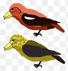 Falcon Clipart Oriole Bird Falcon - Fandom Emoji,Oriole Emoji