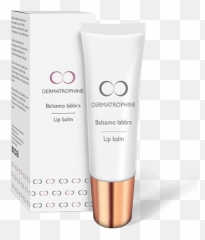 The Essential Product Line For A Perfect Make Up - Face Moisturizers Emoji,Icona Milano Emotion Allowed Mascara