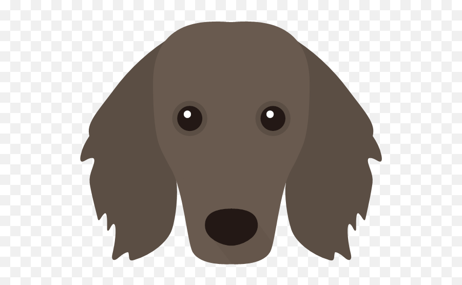 Personalised Birthday Gifts For Dachshunds Yappycom - Irish Setter Face Clip Art Emoji,Emoji Dog Hat