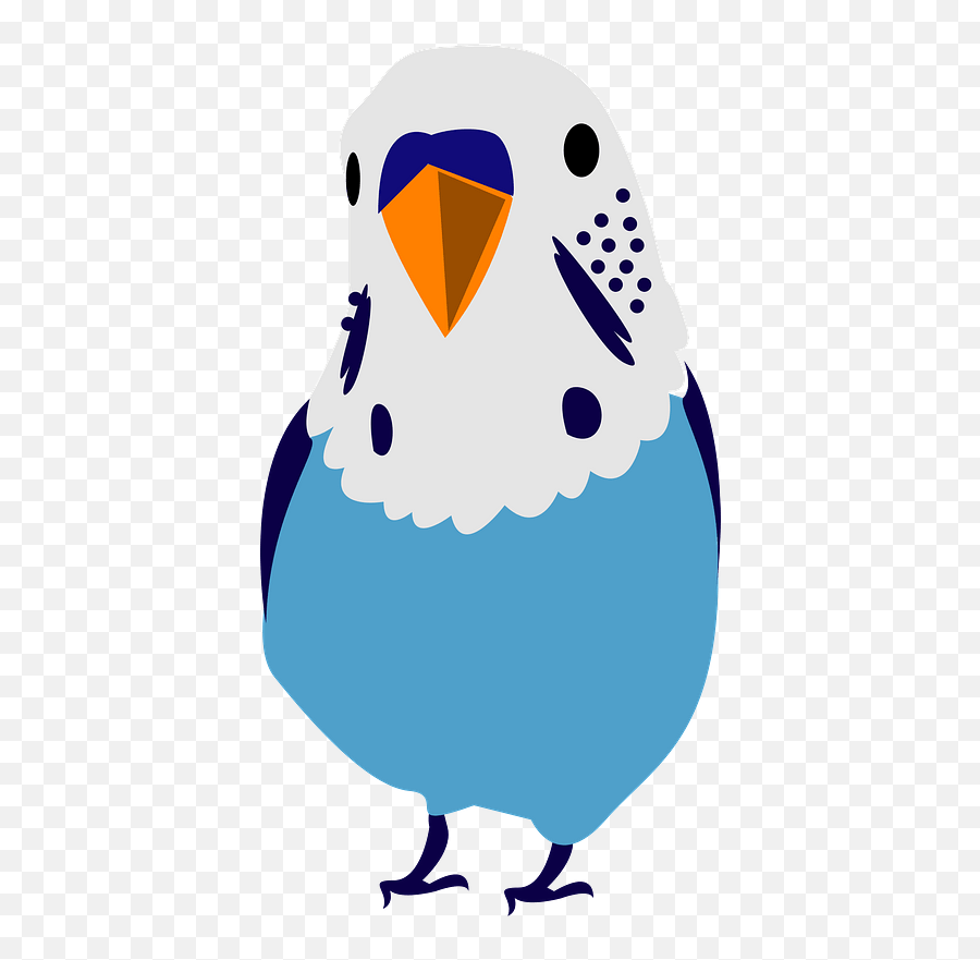 Blue Budgerigar - Blue Parrot Clipart Free Download Imagenes De Pericos Australianos Animados Emoji,Parrot Emoji