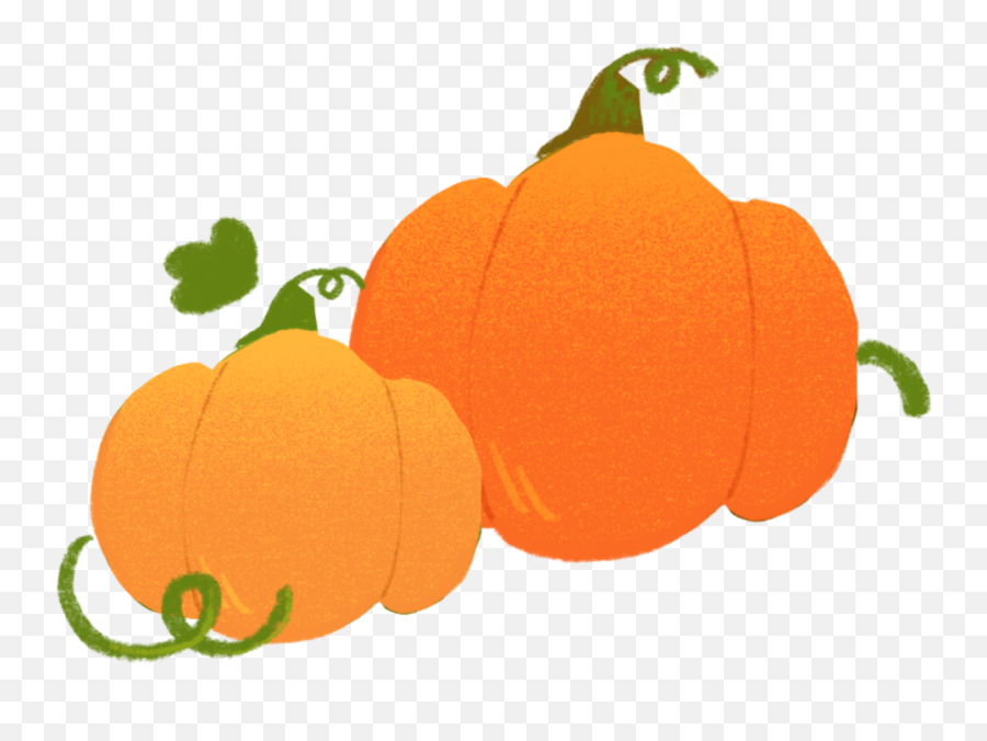 Buncee - Gourd Emoji,Pumpkin Outline Emoji Snapchat