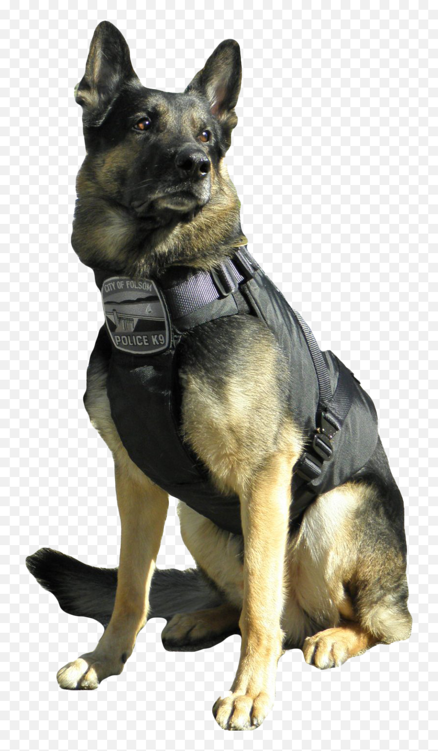 Police German Shepherd Dog Png Transparent Image Png Arts - German Shepherd Dog Working Service Emoji,German Shepherd Dog Barking Emoticon