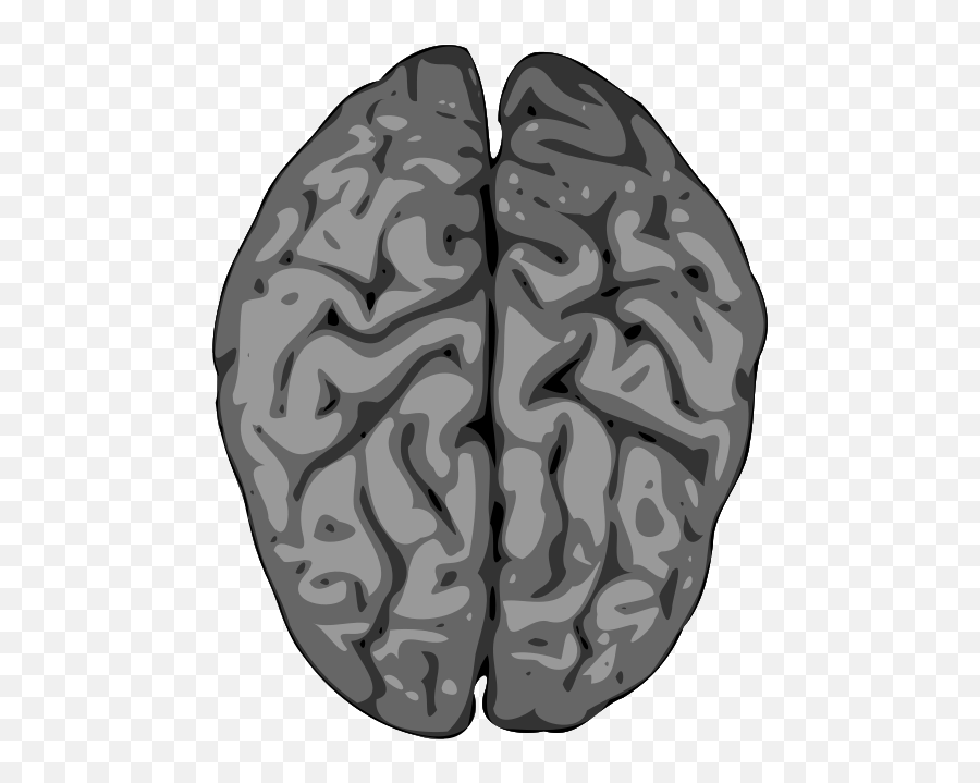 Brain - Vector Picker Differance Between The Left Side And Right Side Of The Brain Emoji,Brain Emoji