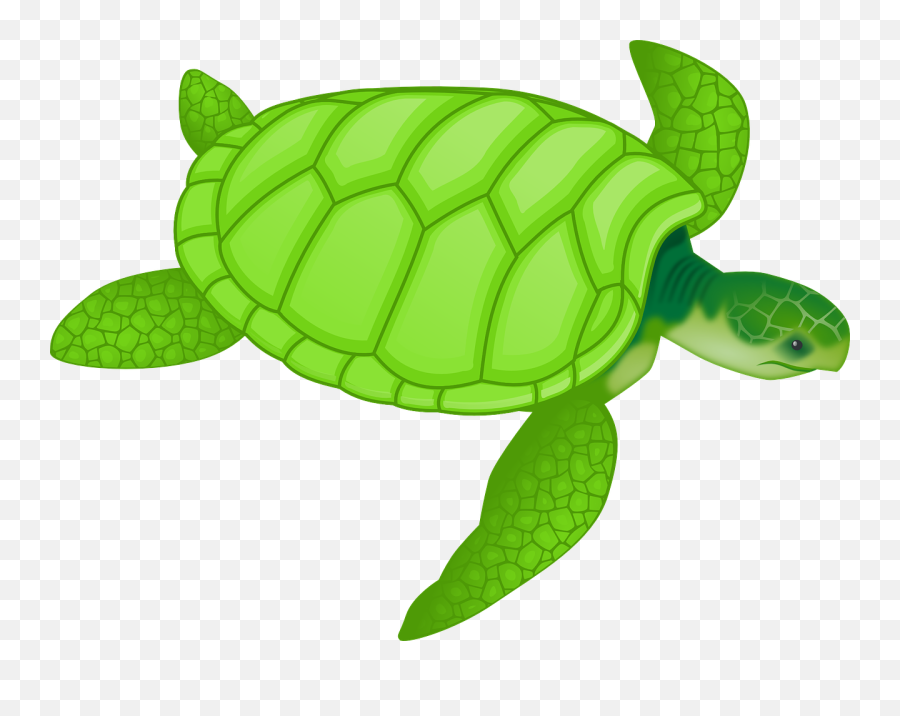 Free Turtle Png Clipart Download Free - Sea Turtle Clip Art Emoji,Sea Turtle Emoji