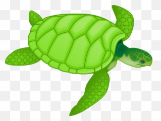 Free Turtle Png Clipart Download Free - Sea Turtle Clip Art Emoji,Sea Turtle Emoji