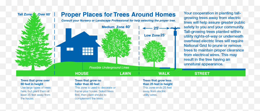 Tree - Trimming National Grid Emoji,Emoticons About Tree Trimming