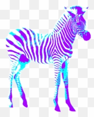 Zebra Sticker By Adlina - Blue And Purple Zebra Emoji,Zebra Emoji
