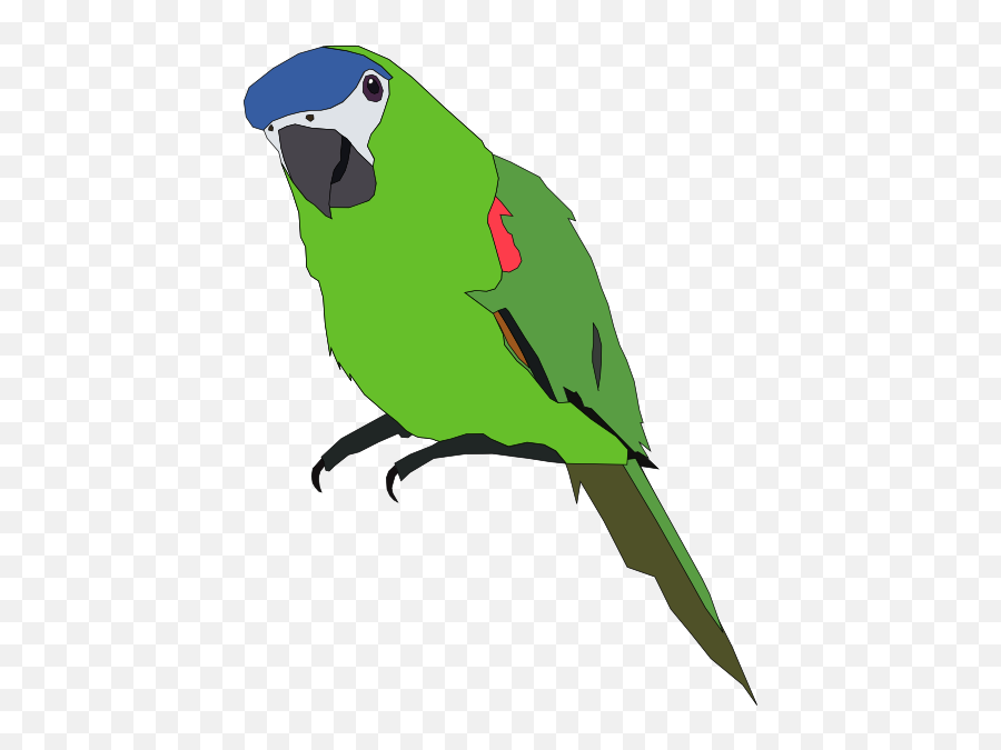 Parakeet - Clip Art Library Green Parrot Clip Art Emoji,Dancing Parrot Emoji