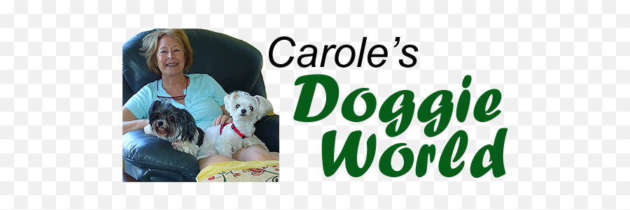 Why Dogs Lick Their Paws Caroleu0027s Doggie World - Dog Bed Emoji,Dogs Human Emotions