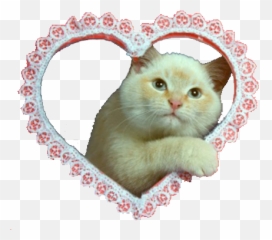 A B R I L Yuitakanashi U2014 Likes Askfm - Cat Png Emoji,Kimi No Na Wa Emojis