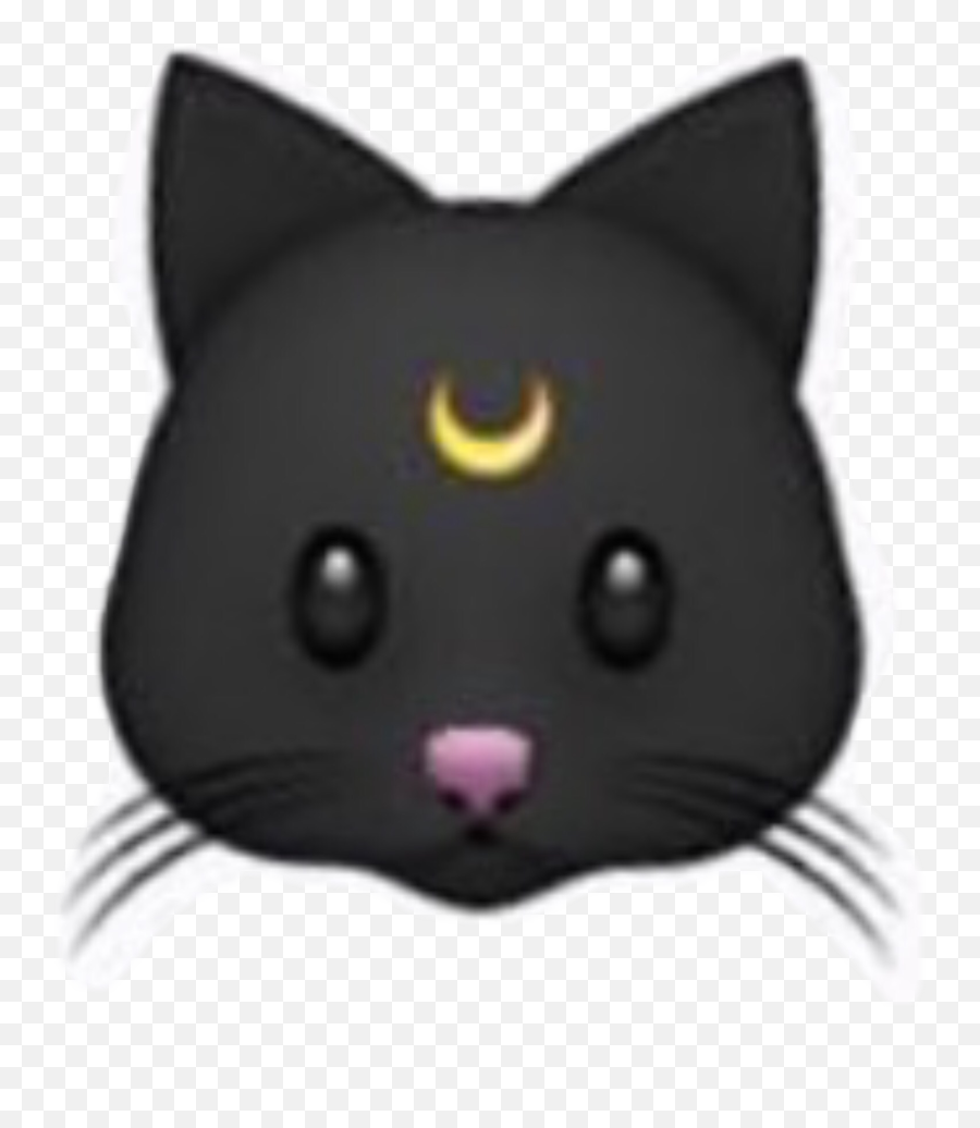 Luna Cat Tumblr Emoji Sticker By Stephanie Kohlmaier - Luna Black Cat Emoji Png,How To Create Emojis Photoshop