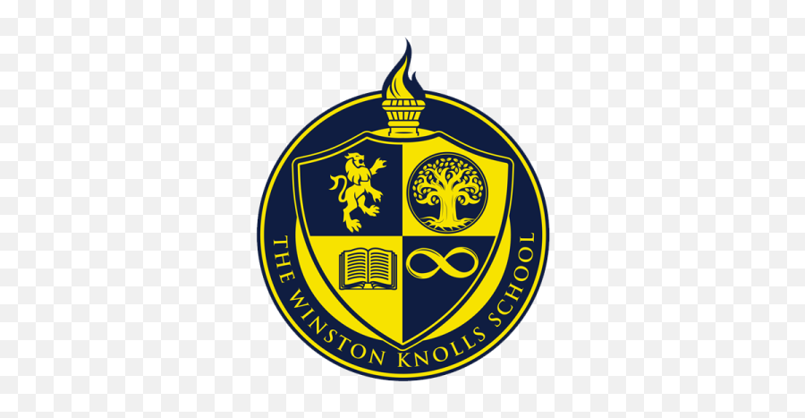 High School Program - Academic Needs U2014 The Winston Knolls School Emoji,Emotions Excited Highschool