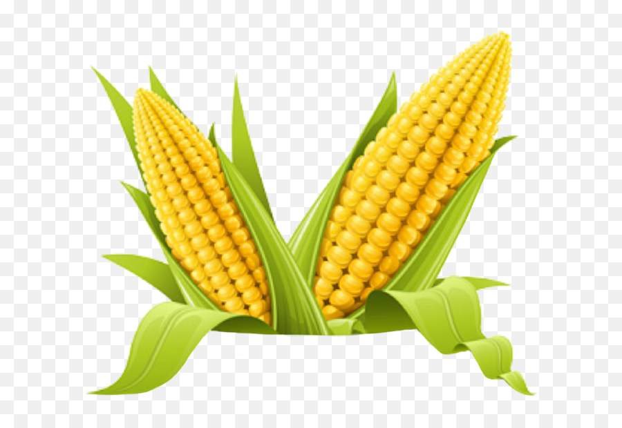 Trend Fiesta Idk Popcorn Corn Sticker By Proomo - Different Picture Of Vegetable Emoji,Corn Cob Emoji Shirt