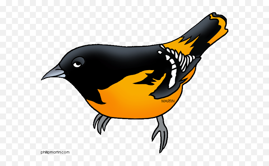 Falcon Clipart Oriole Bird Falcon - Maryland State Bird Drawing Emoji,Oriole Emoji