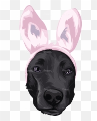 Cartoonize Your Dog And Furry Pet With - Guard Dog Emoji,Dog Emoji Glasses