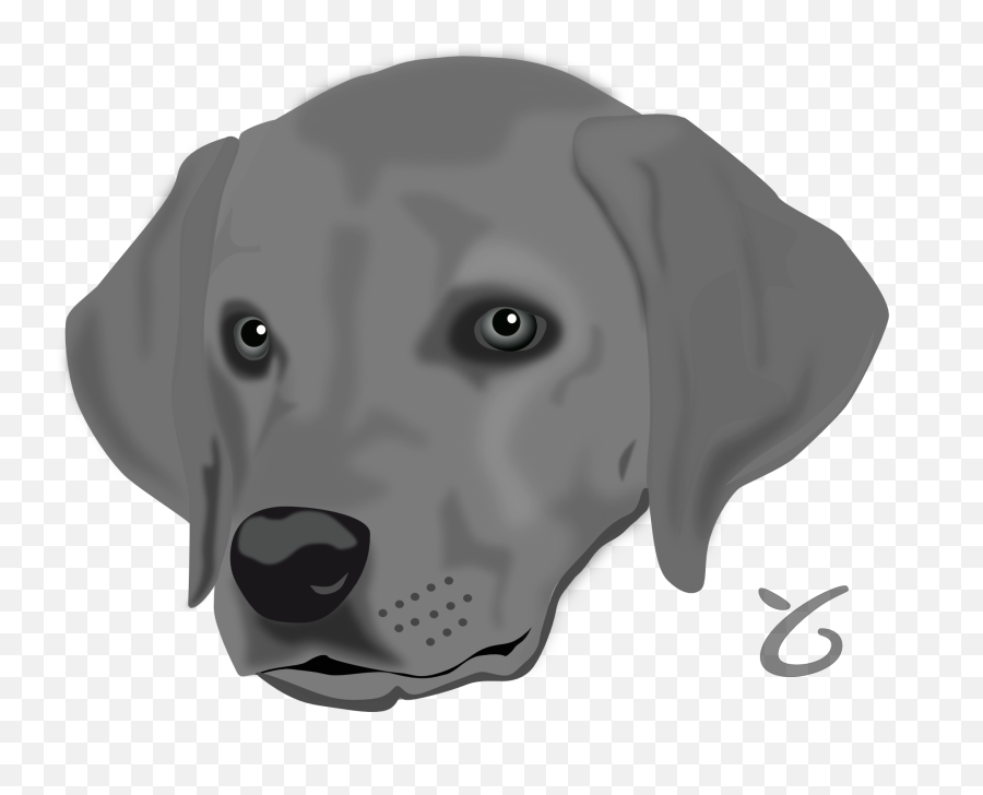 Clipart Of Grey Dog Head Free Image Download - Dog Gray Clip Art Emoji,Animal Emotion Faces Clip Art Free