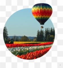 Rodeos To Petting Zoos Wild U0026 Farm Animals Mt Hood Territory Emoji,Hot Air Balloon Emoticon Add To My Pjone
