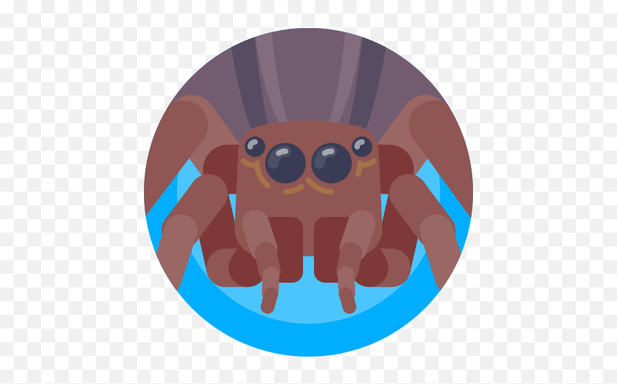 Avatar Bug Insect Spider Free Icon Of Xmas Giveaway Emoji,Spider Japanese Emoticons